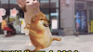 When your girlfriend asks you to chase her again