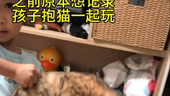 After the conflict between raising a baby and raising a cat intensified...