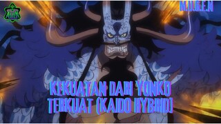 KEKUATAN DARI YONKO TERKUAT (KAIDO HYBRID] - [MUGEN]