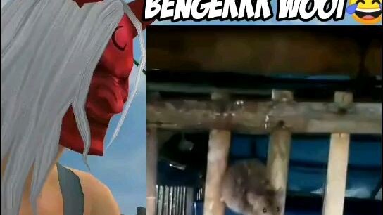 wkwkwkwk