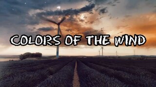 Colors Of The Wind - Vanessa Williams (Lyric Video)
