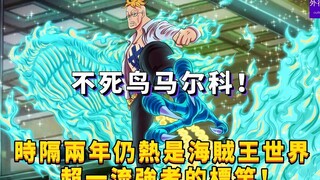 时隔两年仍然是海贼王世界超一流强者标杆—不死鸟马尔科！#753