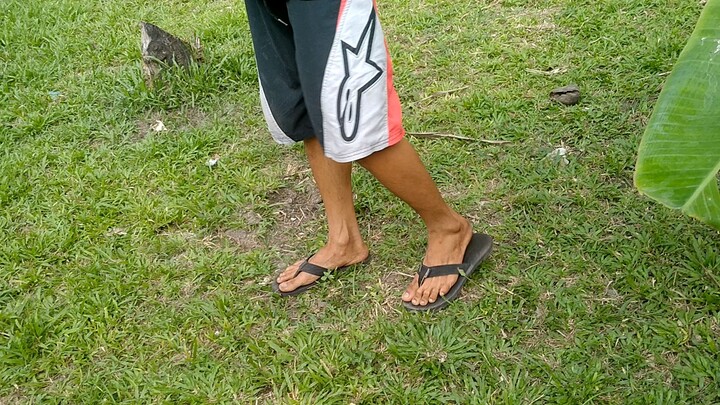 sparring match white kelso vs. pure kelso