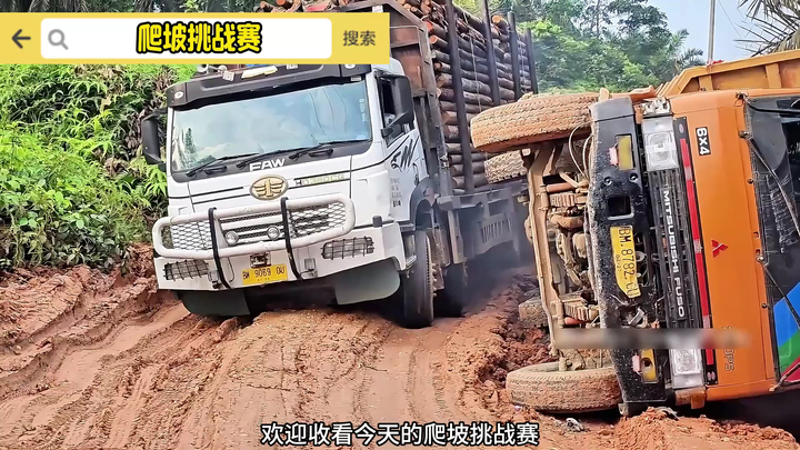 Truk Buatan Tiongkok Angkut Kayu di Indonesia