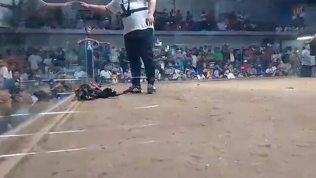 URBAN KNIGHTS 1ST FIGHT