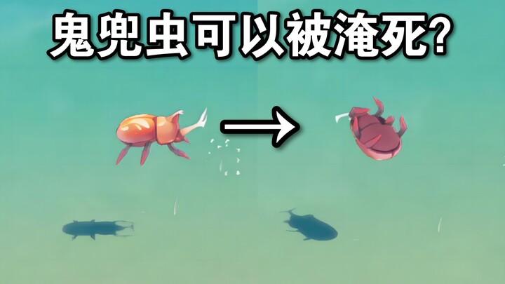 Outrageous! I drowned a whole bunch of fighting bugs! (The correct way to play the fighting bug tour