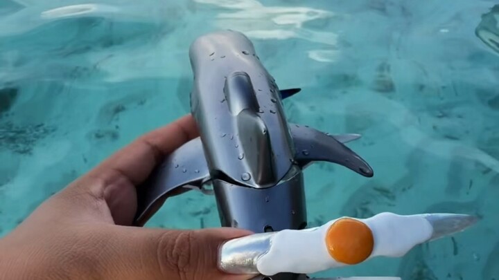 Shark toy