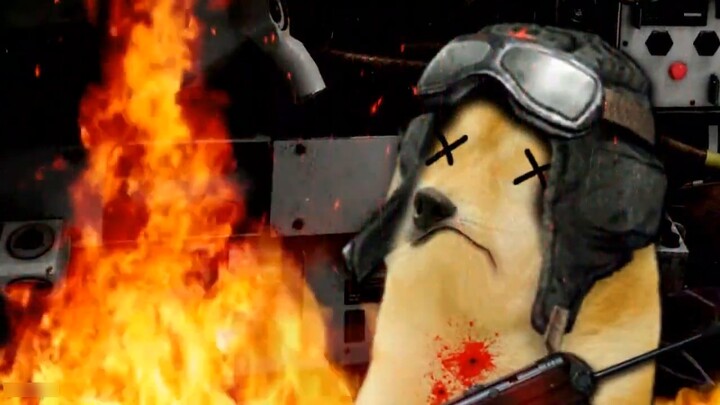 [YouTube Transfer] DOGE vs CHEEMS