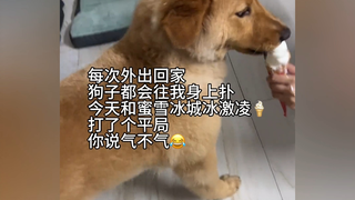 小狗：今天幸福双倍！！