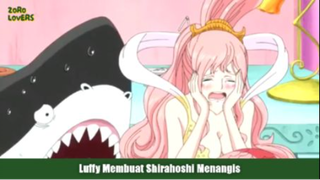 Kocak!! Luffy Membuat Shirahoshi Menangis