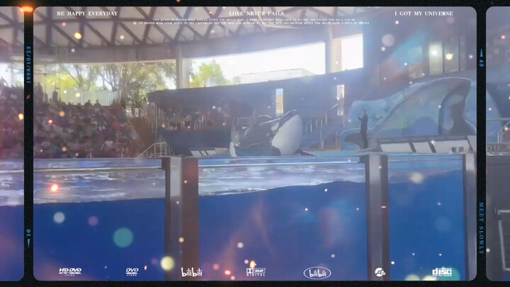 un dia en el acuario