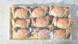 [Roti Kepiting Kepiting Asli] Gunakan sepuluh kepiting berbulu untuk membuat "Roti Kepiting Kepiting