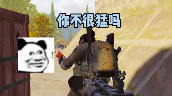 Sayur Kecil yang Mengumpulkan Sampah