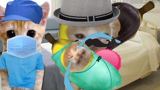 出生！香蕉猫！