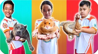 Tony | 1 Ngày Nuôi Thú Cưng - Tập 1