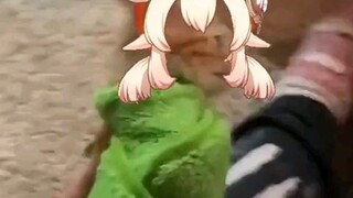 genshin impact