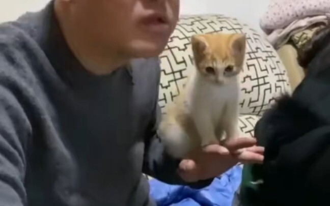 Cat-Toting Li Tianwang