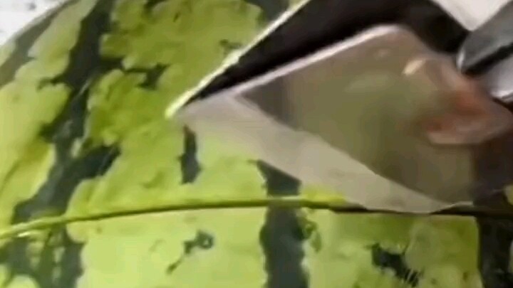 กัว: ตอนนั้นเกสรดอกไม้มีเยอะมากเลย