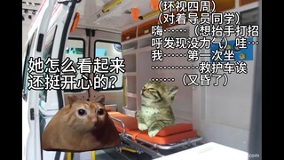 【猫meme】关于我睡进精神科住院的事