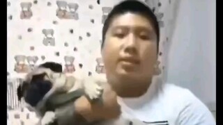 这回真是比片难找了，大合集