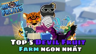 Roblox-Top 5 Devil Fruit Farm Siêu Ngon Bomb Lên Top?? | Blox Fruit