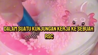 oddly satisfying part 1 : cerita lucu saat kunjungan rsj