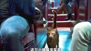 其实一直以来是他们治愈我们