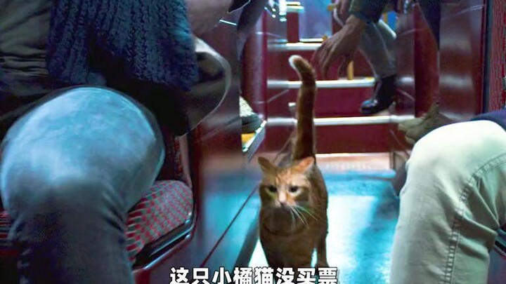 In fact, they have always been the ones who healed us