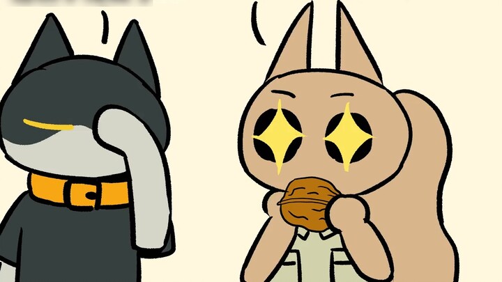 “เหรียญนี้ไม่สามารถตั้งตรงได้ ไม่อนุญาตให้วาดภาพอีกต่อไป”