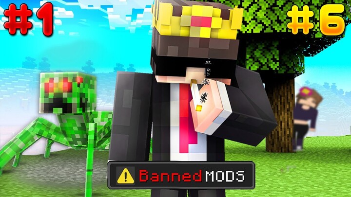 I Tried EVERY ILLEGAL BANNED Mod in Minecraft