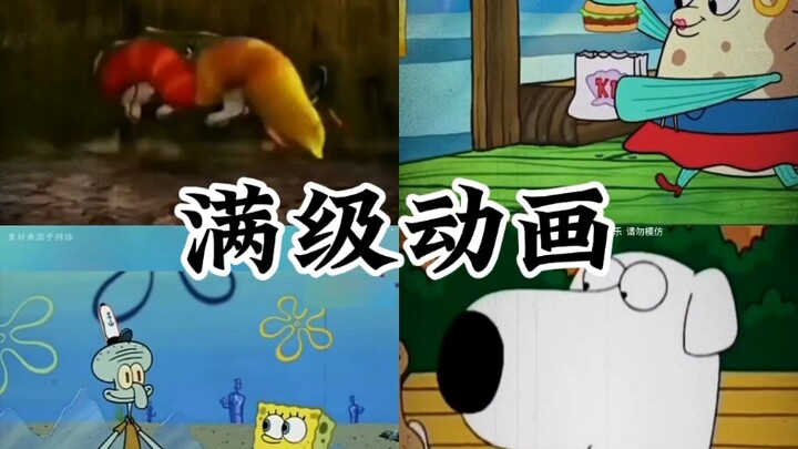 满级动画