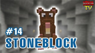 Stoneblock 14 - Người Chuột Đi Khắp Nơi