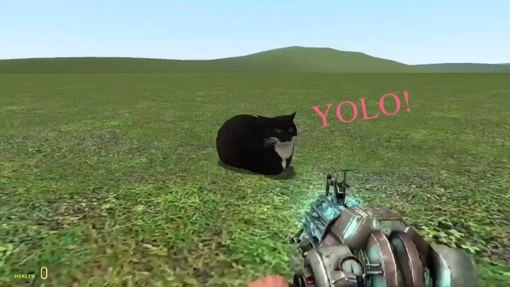 THE NUKE CAT! Garry's Mod