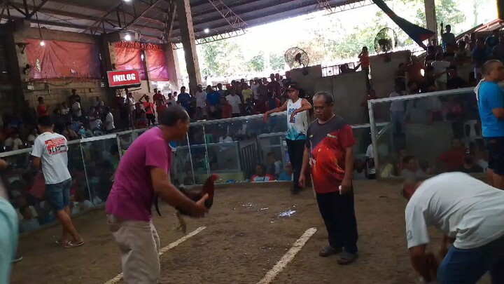 bulik loss, sayang na unahan
