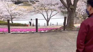 295 _ Ngôi Chùa Tượng Phật Lớn Nhất Thế Giới Tại Ibaraki - Nhật Bản _ Cao 120 Mé