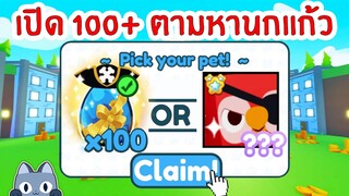 เปิดไข่ 100 ใบ จะมาไหมนกแก้ว | Roblox Pet Simulator X 🐾