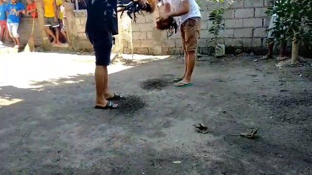 2 times winner Sweater