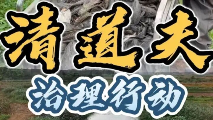 Operasi pembersihan ikan predator asal Guangdong oleh Sepupu Tua; konon, ikan predator itu meski dik