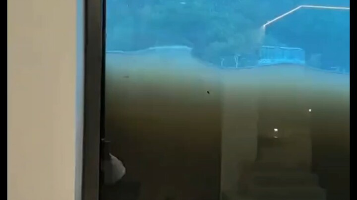 This isn’t a fish tank; it’s Typhoon Baijiahao.