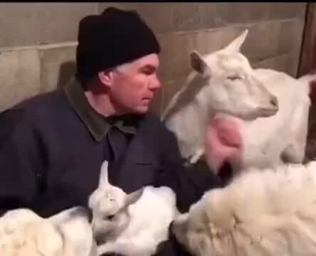 كيف تعلمت؟