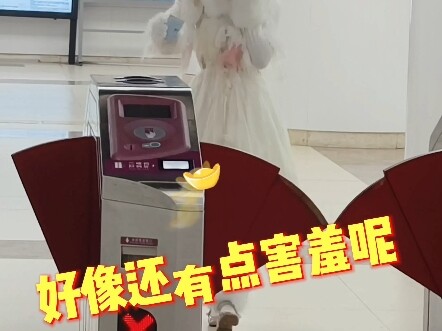 الأرنب المثالي vs الأرنب الواقعي~