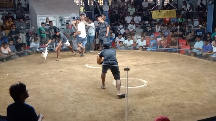 Sbr🔥lover 1x winner 3hits ulutan @bustos cockpit arena.