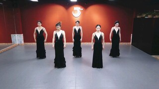 Flamenco Black Swan