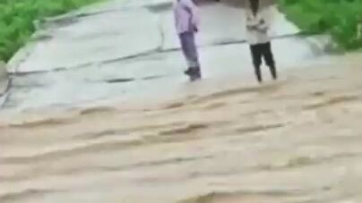 funny videos