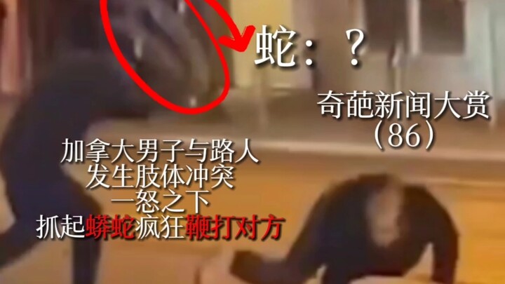 【奇葩新闻大赏】 “男子与路人发生冲突，抓起蟒蛇疯狂鞭打对方” 从来没有如此离谱！