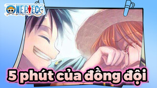 5 phút cảm động - Vì chúng ta là đồng đội! | One Piece