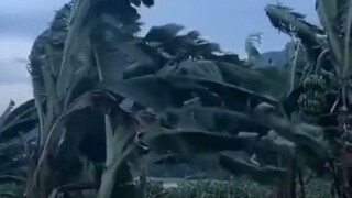 báo sẽ hết:))