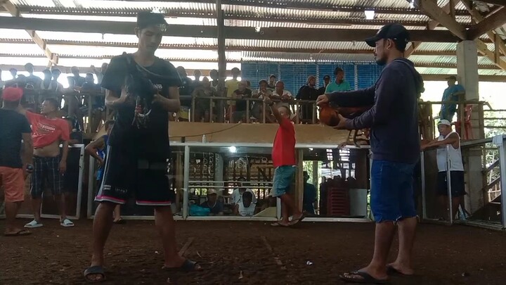 SBR X milsims black UNSCRATCH