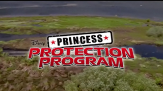 Princess Protection Program