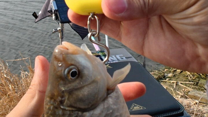 It's hard to catch a broken fish.